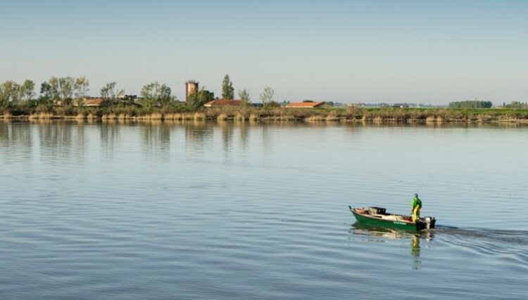 Bando pesca Emilia-Romagna