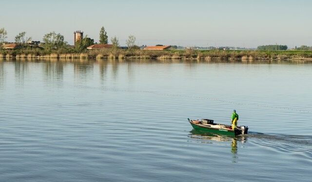 Bando pesca Emilia-Romagna
