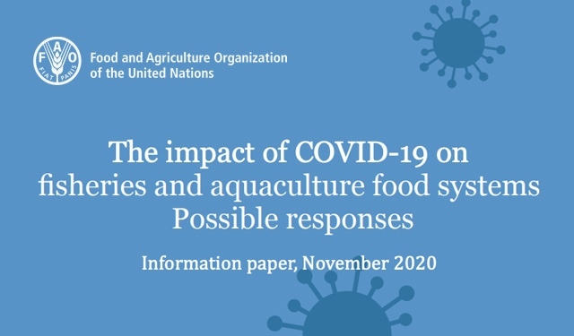 Covid FAO pesca acquacoltura