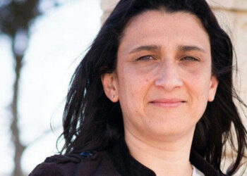 D'Amato regolamento controlli Ue