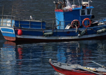 Europêche buona gestione pesca