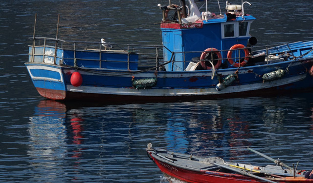Europêche buona gestione pesca
