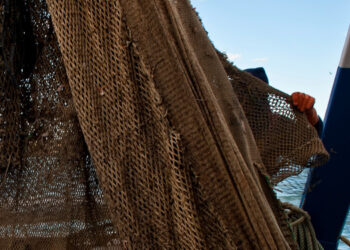 Europêche revisione norme controllo pesca