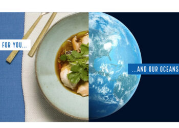 MSC proteine sane sostenibili