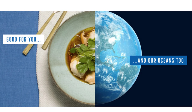 MSC proteine sane sostenibili