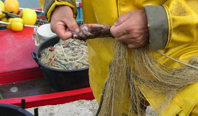 Recovery plan pesca acquacoltura