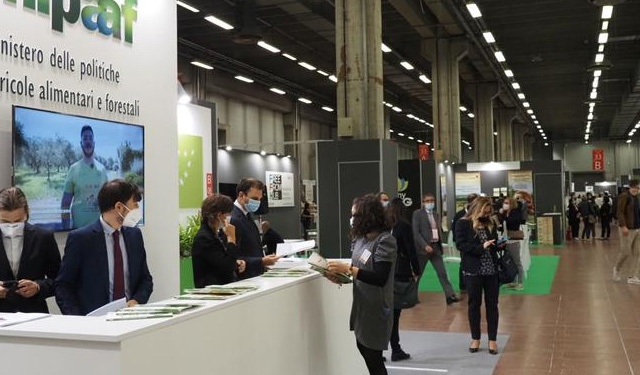 SANA 33esima edizione