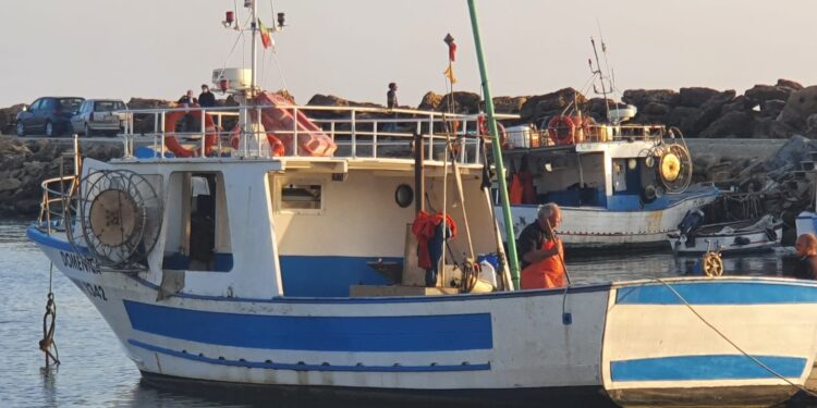 mancata proroga fermo pesca