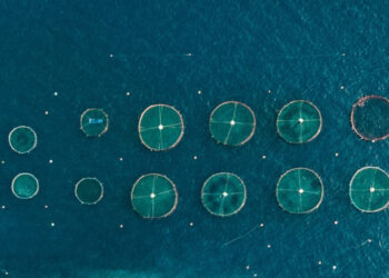 acquacoltura sicurezza alimentare