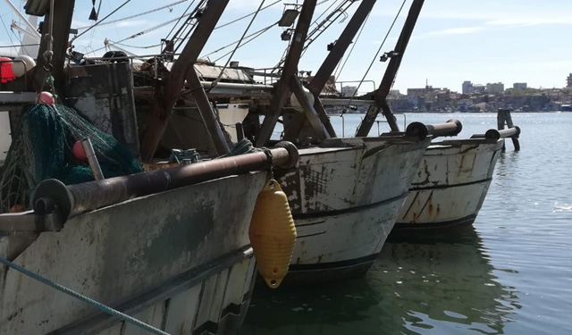 alleanza cooperative sostegno reddito