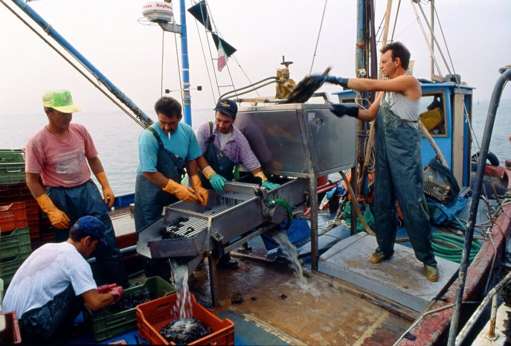 tracciabilità mediterraneo