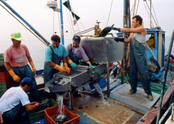 tracciabilità mediterraneo