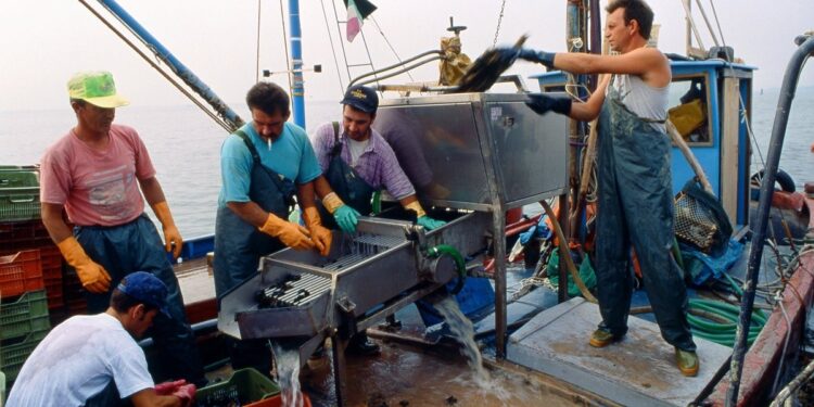 tracciabilità mediterraneo