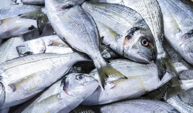 distretto pesca ghiaccio