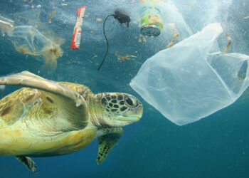 pesca dei rifiuti marini - fishing for litter