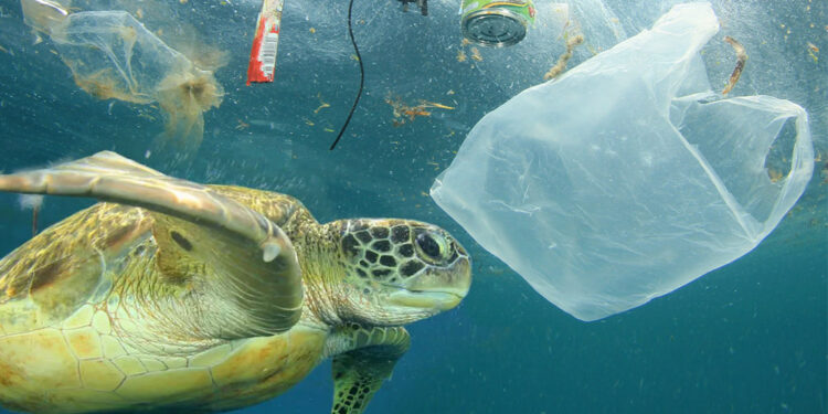 pesca dei rifiuti marini - fishing for litter