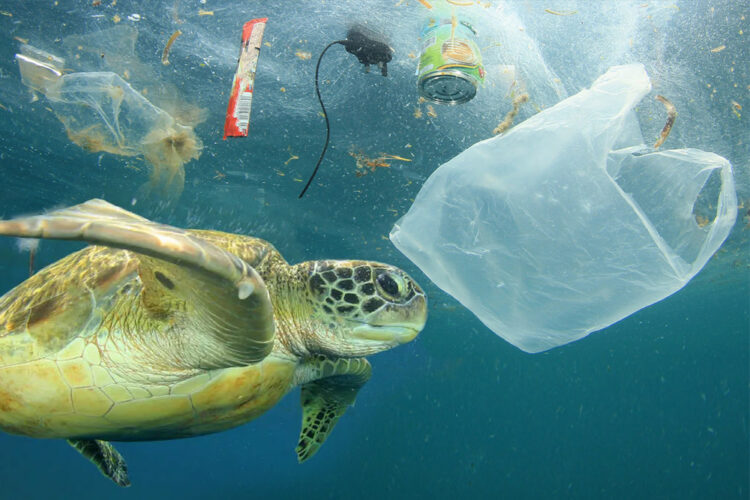 pesca dei rifiuti marini - fishing for litter