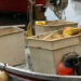 hub pesca piccola scala