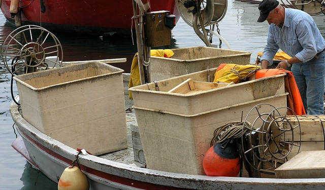 hub pesca piccola scala