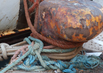 misure gestione Mipaaf