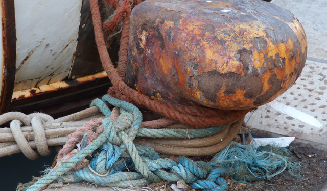 misure gestione Mipaaf