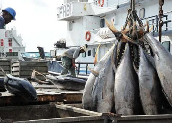 pesca sostenibile Ue Gabon