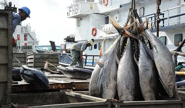 pesca sostenibile Ue Gabon