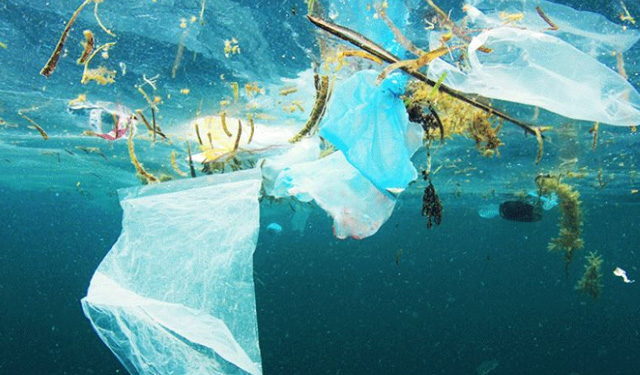 plastica in mare