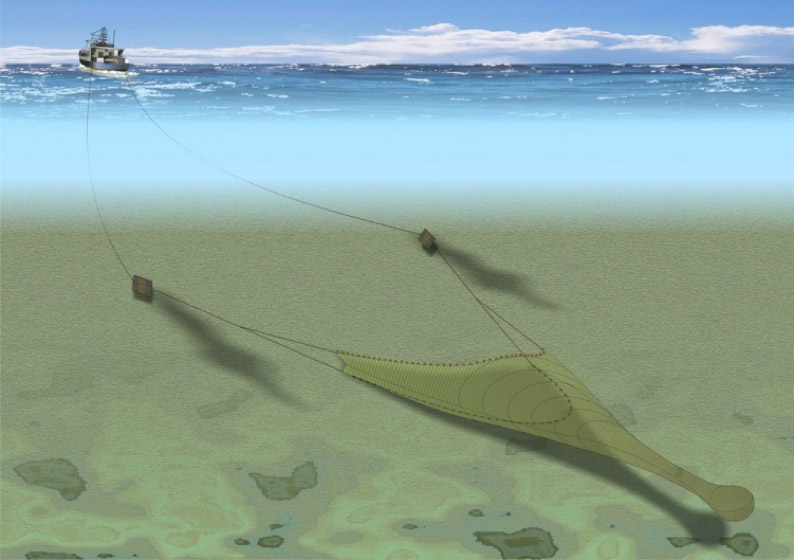 Paranza pesca a strascico