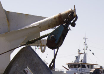 riduzione giornate pesca