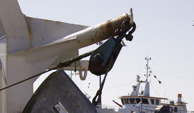 riduzione giornate pesca