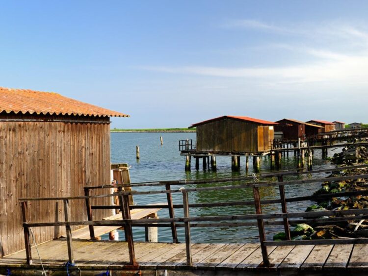 Sacca degli Scardovari