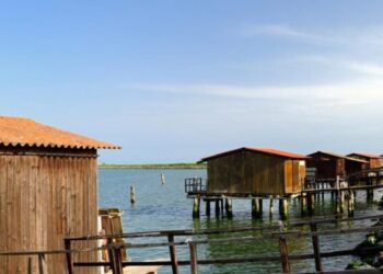 Sacca degli Scardovari