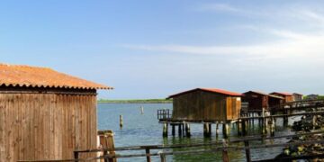 Sacca degli Scardovari