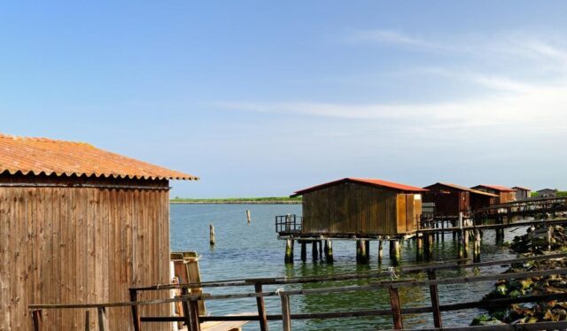 Sacca degli Scardovari