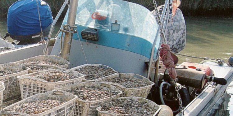 Pescatori del Polesine