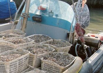 Pescatori del Polesine