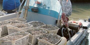 Pescatori del Polesine