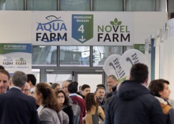 Climate change e crisi energetica: la resilienza dell’acquacoltura