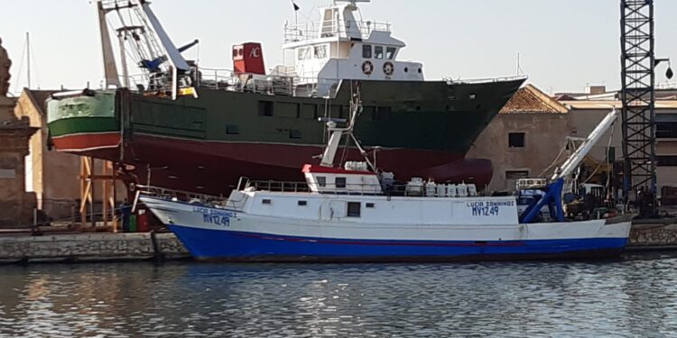 Recovery Alleanza Cooperative pesca