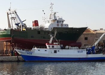 Recovery Alleanza Cooperative pesca