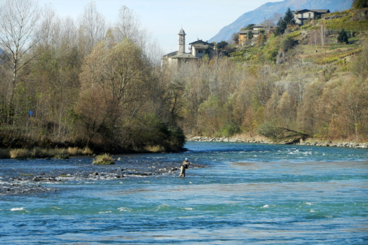 pesca Valtellina
