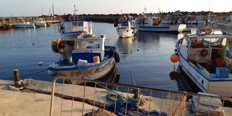 Federpesca Mipaaf fermo pesca