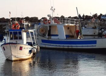 Federpesca Mipaaf fermo pesca