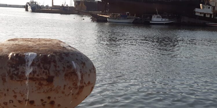 UNCI Agroalimentare pesca acquacoltura