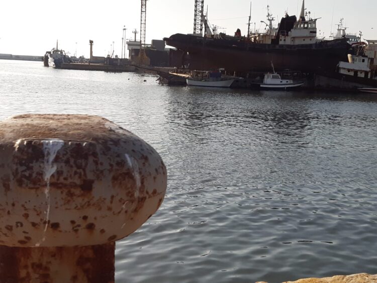 UNCI Agroalimentare pesca acquacoltura