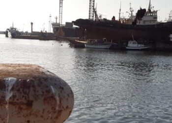 UNCI Agroalimentare pesca acquacoltura