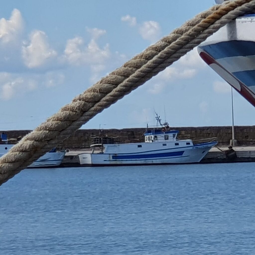 impresa pesca contributi