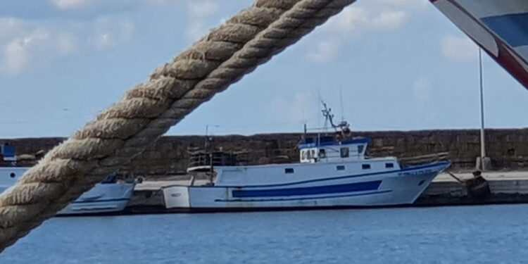 impresa pesca contributi