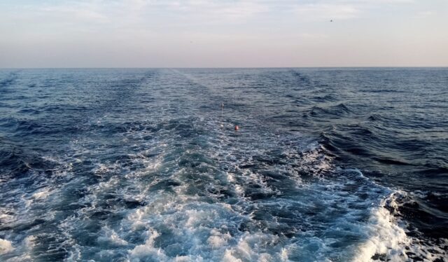 Ue Norvegia Regno Unito